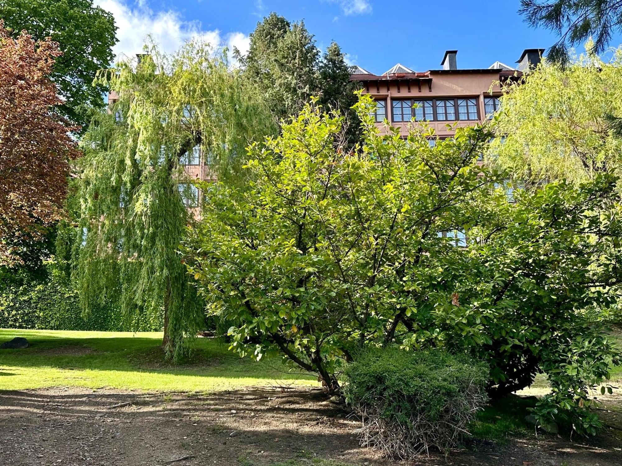 Apartamento En Enveitg, Montana Park Exterior foto